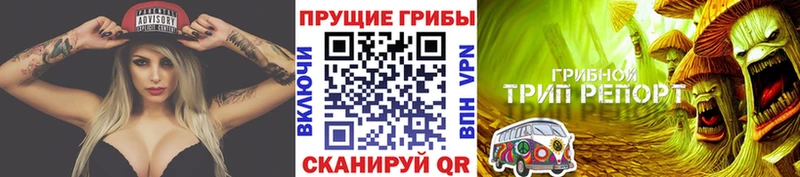 Галлюциногенные грибы GOLDEN TEACHER  Фрязино 