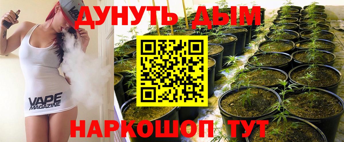 Бошки Шишки ГИДРОПОН Фрязино